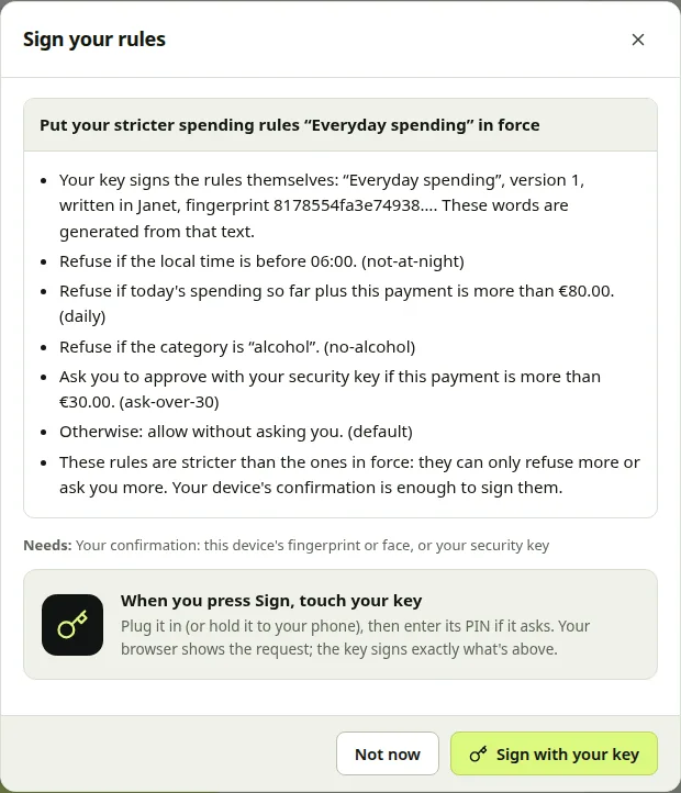 The signing screen for a person who added a security key: “Put your stricter spending rules ‘Everyday spending’ in force”, the rules in plain sentences, what is needed (your confirmation or your security key), and a button: Sign with your key. Without a key the same screen asks for your password.